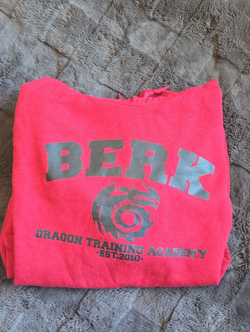 BERK - Dragon Training Academy Hoodie